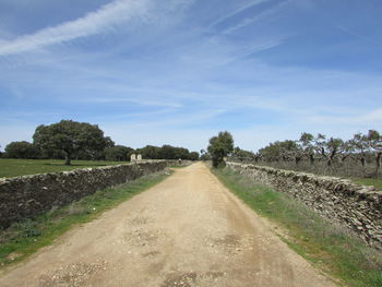 Empty road along trees on field against sky