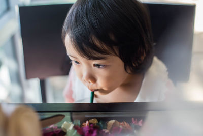 Portrait of boy looking at camera