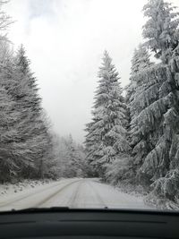 Road amidst trees seen through car windshield