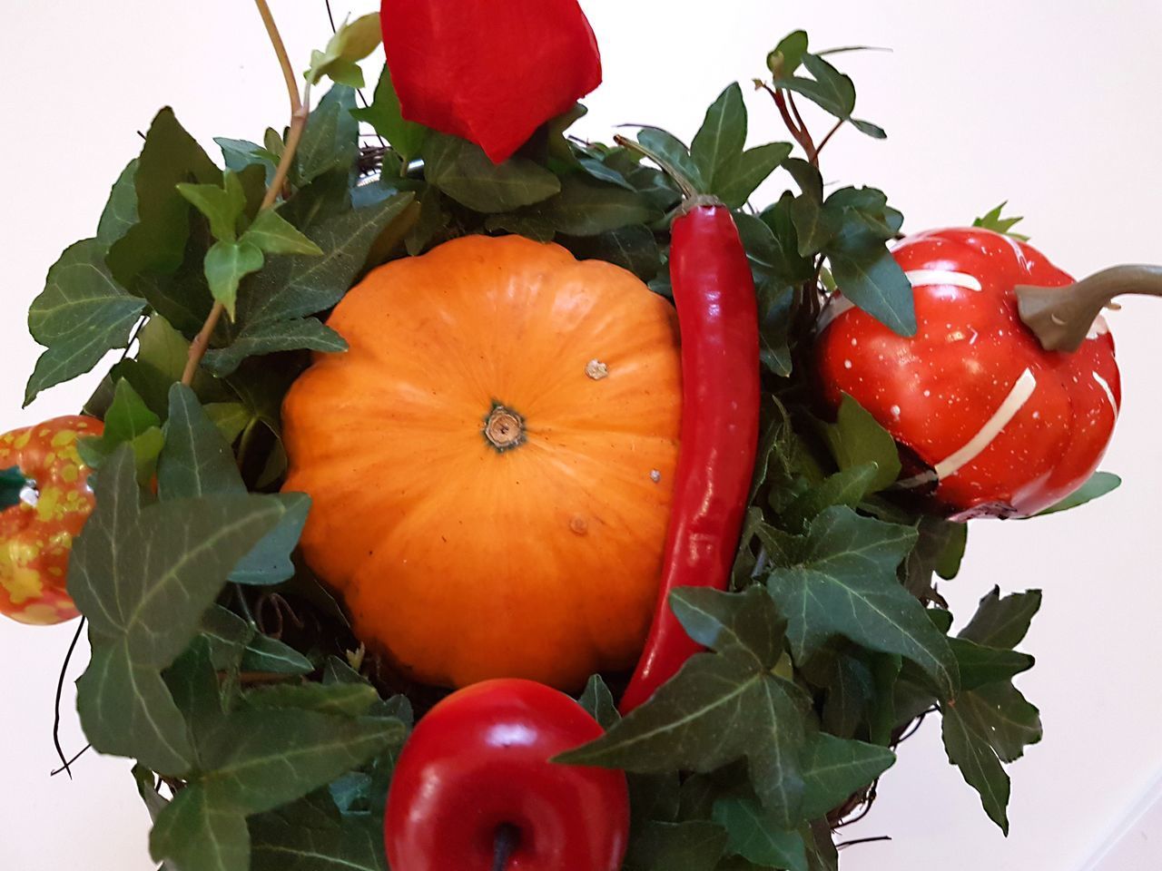 LOW ANGLE VIEW OF PUMPKINS AGAINST RED PLANTS