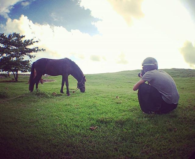 domestic animals, animal themes, sky, one animal, grass, mammal, field, horse, full length, pets, dog, cloud - sky, grassy, one person, side view, standing, cloud, sunlight, nature, landscape