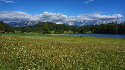 Scenic view of field against sky