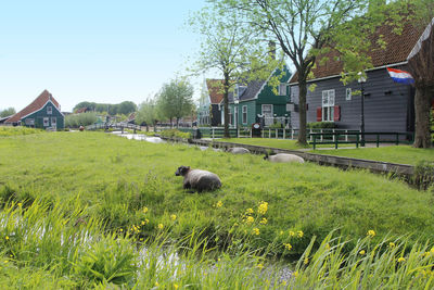 View of a house on a field