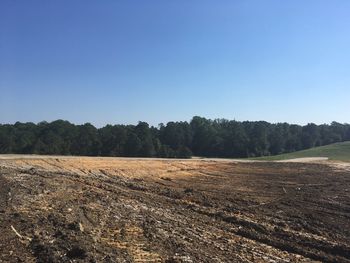 Scenic view of field against clear sky