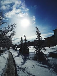 Snow covered footpath by trees against sky