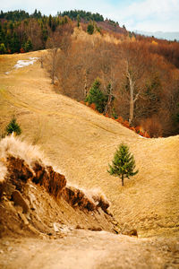Mountain road in spring