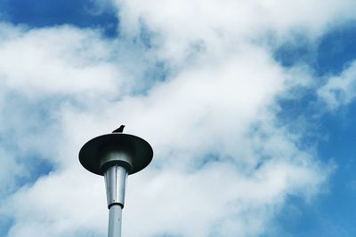Low angle view of bird perching on street light against sky