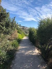 Footpath amidst trees against sky