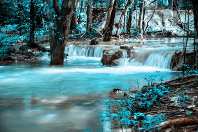 Scenic view of waterfall in forest