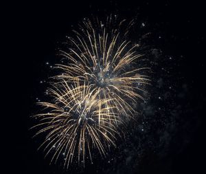 Low angle view of firework display at night