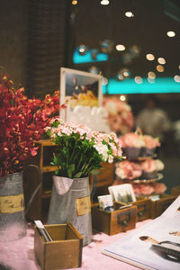 Potted plants on table at home