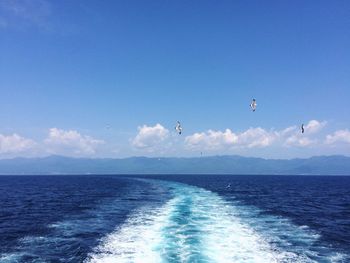 Birds flying over sea against sky