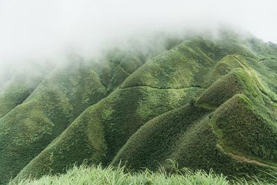 Scenic view of land