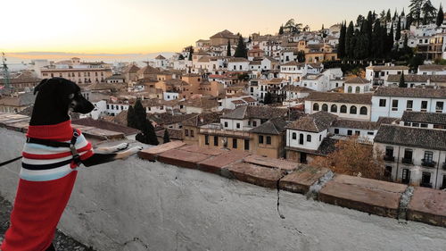 High angle view of man standing by buildings against sky