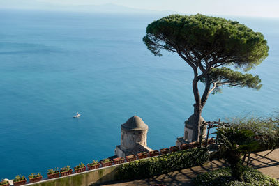 High angle view of tree by sea against sky