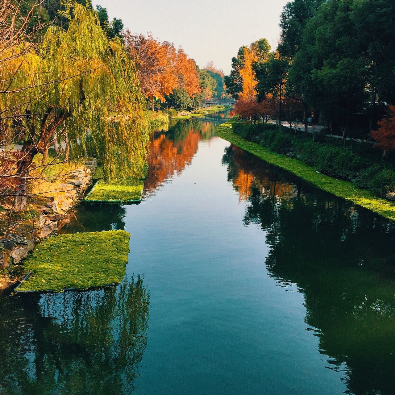 reflection, nature, beauty in nature, water, lake, tree, sky, scenics, tranquility, autumn, tranquil scene, growth, change, waterfront, outdoors, sunset, no people, reflection lake, day