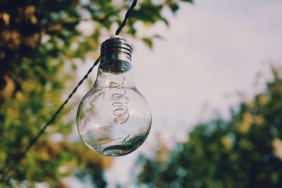 Low angle view of light bulb hanging on tree