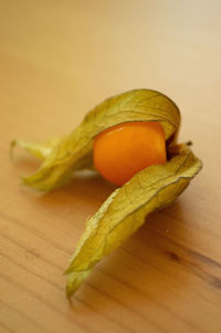 Close-up of one orange physalis