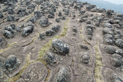 Aerial view of rock formations