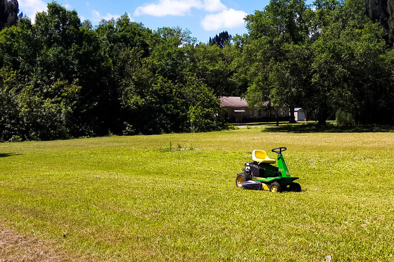 grass, tree, lifestyles, leisure activity, green color, sitting, field, relaxation, grassy, sunlight, growth, casual clothing, day, sky, nature, outdoors, lawn, park, landscape, tranquility, green, tranquil scene