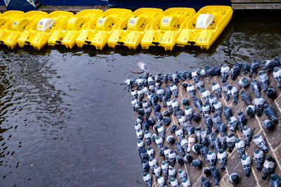 Large group of pigeons perching by canal