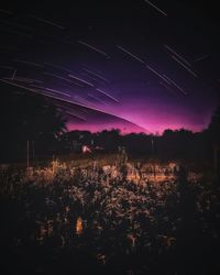 Silhouette trees on field against sky at night