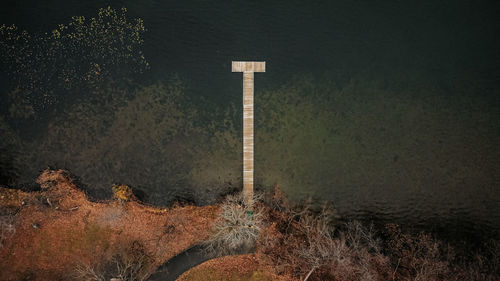 High angle view of trees on field