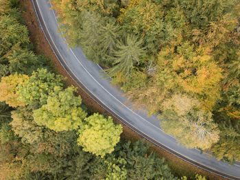 High angle view of road amidst trees