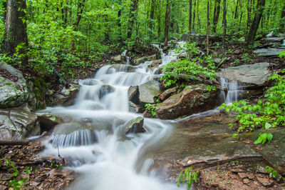 Waterfall in forest