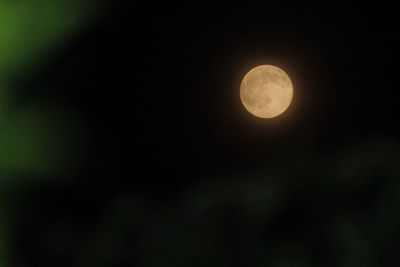 Low angle view of moon in sky