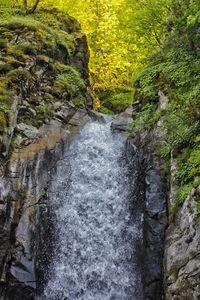 River flowing through rocks in forest