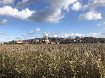 Plants growing on field by buildings against sky