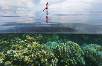 Distant view of woman paddleboarding on sea