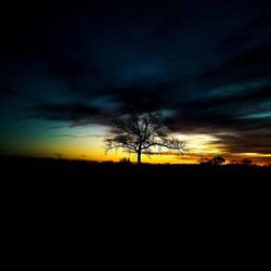 Silhouette bare trees on field against sky at sunset