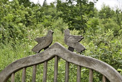 Birds perching on wood