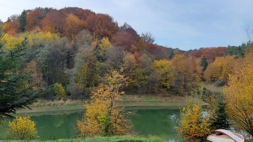 Scenic view of lake in forest during autumn