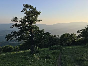 Scenic view of mountains