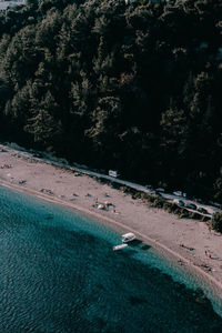 High angle view of trees by sea
