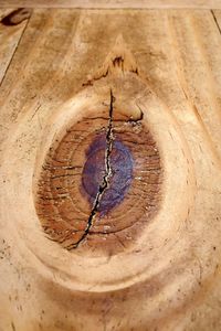 Close-up of tree stump