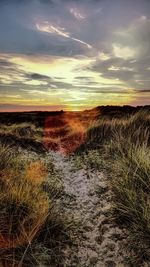 Scenic view of beach against sky during sunset