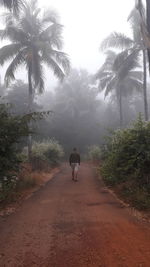 Rear view of woman riding horse on road