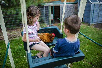 High angle view of siblings with chicken sitting on swing at backyard