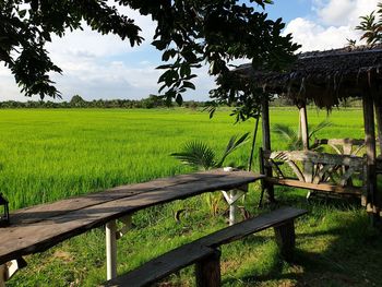 Scenic view of agricultural field against sky