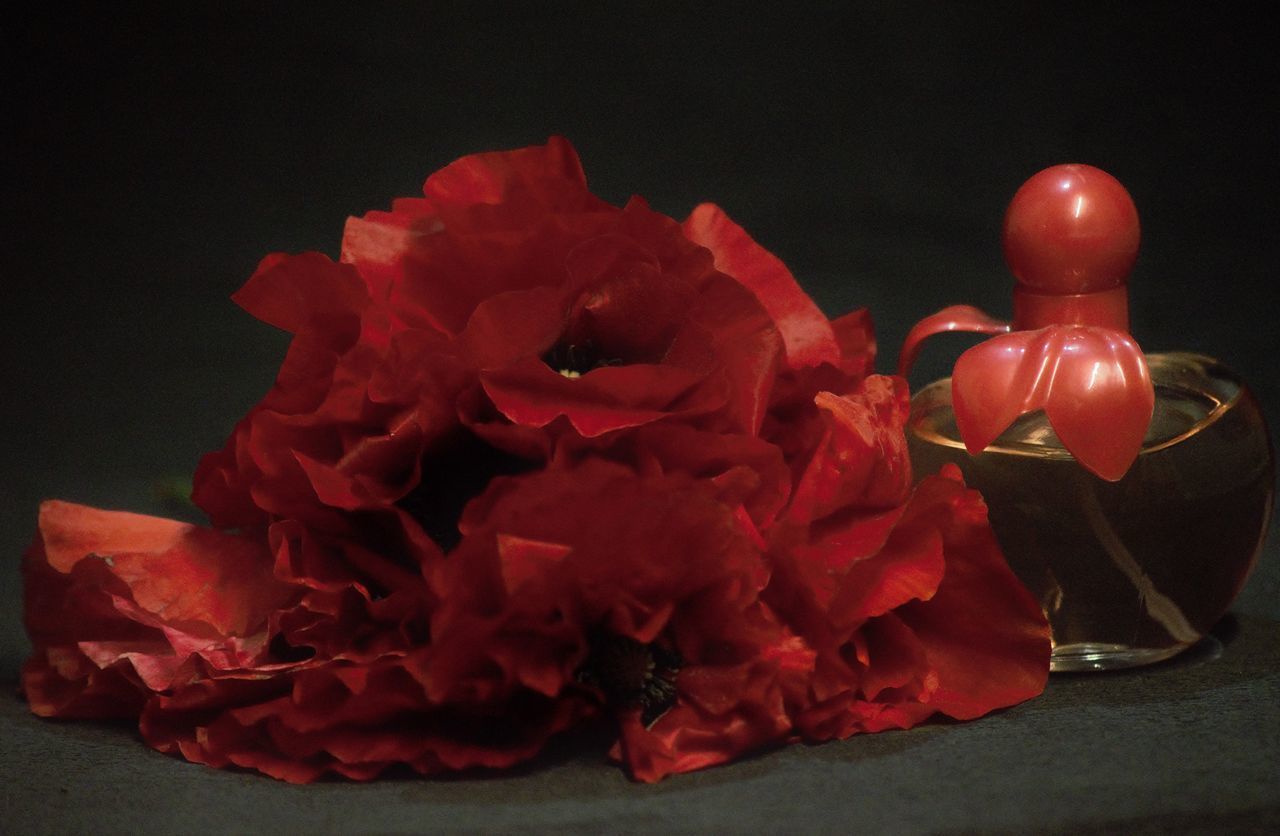 CLOSE-UP OF RED ROSE BOUQUET ON TABLE