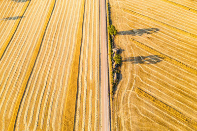 High angle view of tire tracks on field