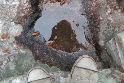 Low section of person photographing reflection in puddle