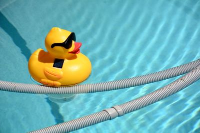 High angle view of yellow rubber duck in swimming pool