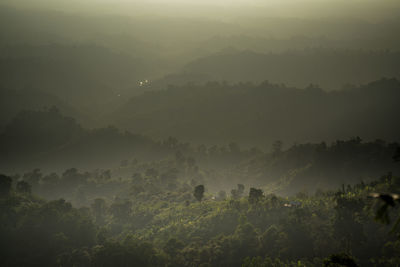 Scenic view of forest against sky during foggy weather