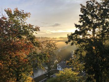 Trees against sky during autumn