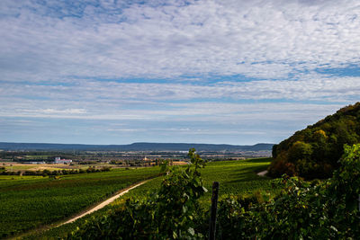 Scenic view of agricultural field against sky